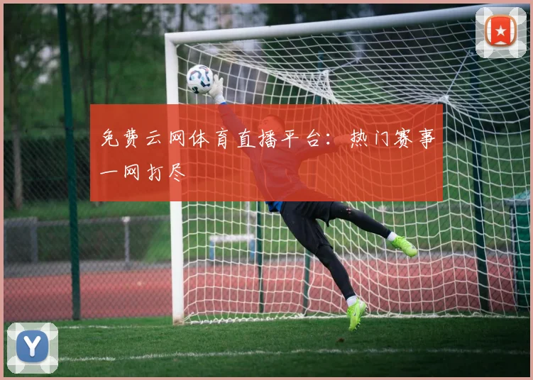 免费云网体育直播平台：热门赛事一网打尽