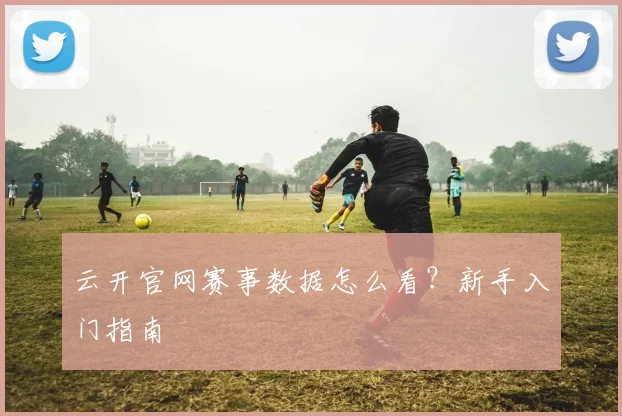 云开官网赛事数据怎么看？新手入门指南